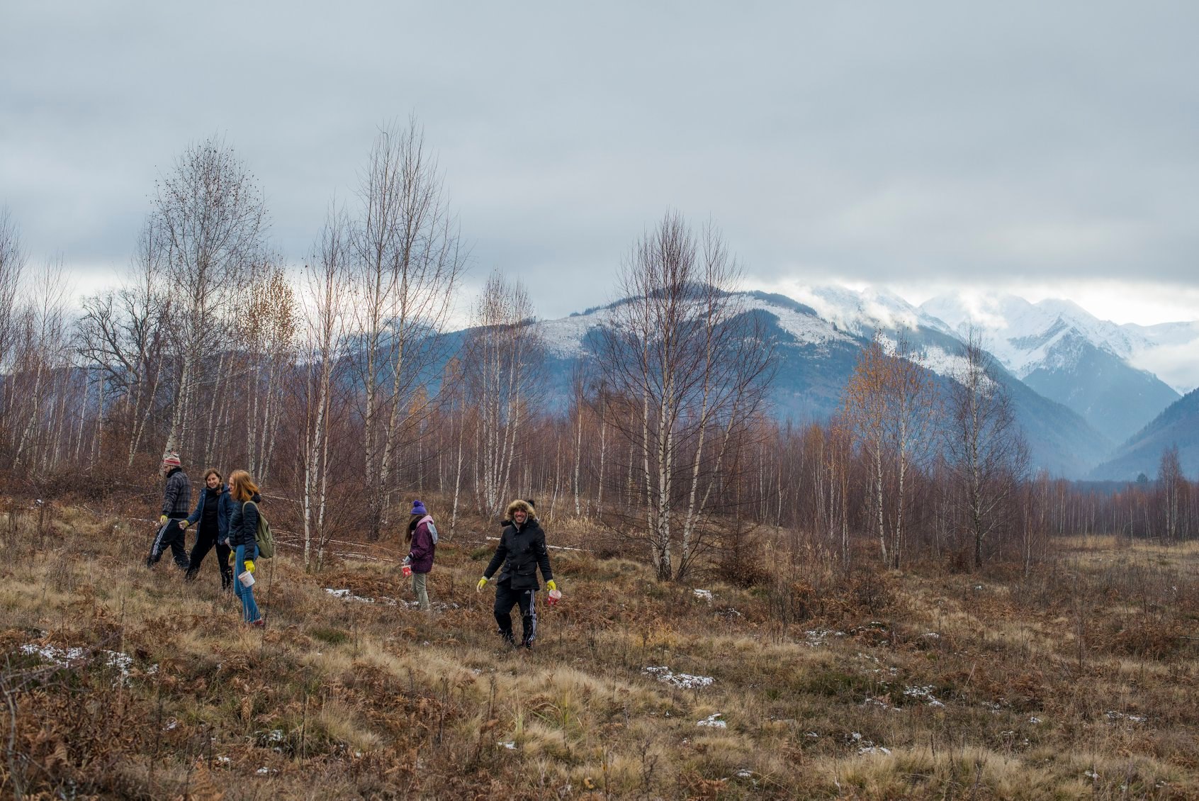 Arpasu Ingrijire 2019 8